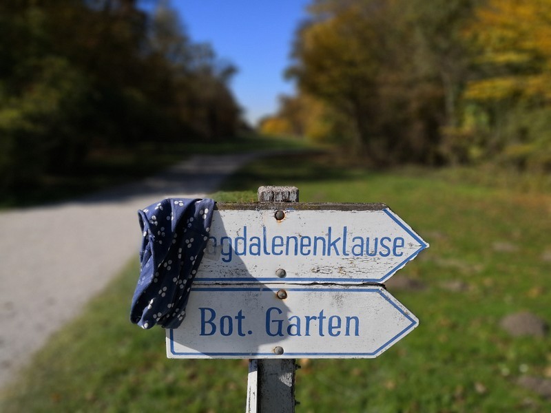 以下犯上（八）：华为Mate 10 Pro挑战星空体育平台Note 8（副摄）