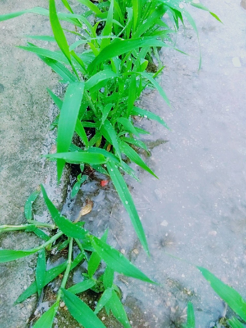 落雨世界