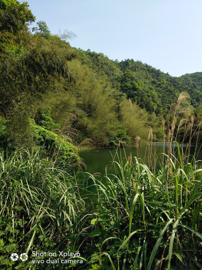 家乡印象，冷水江