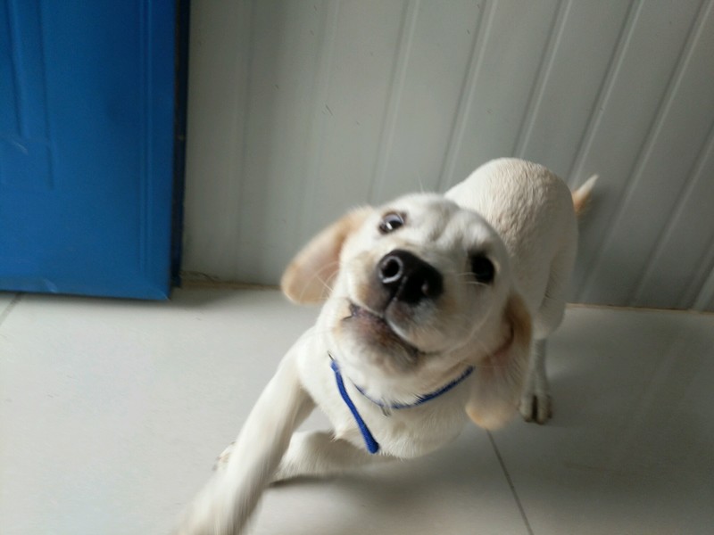 [七月我最萌]-在建筑行业，坚持不是英雄，逃跑也不是懦夫。