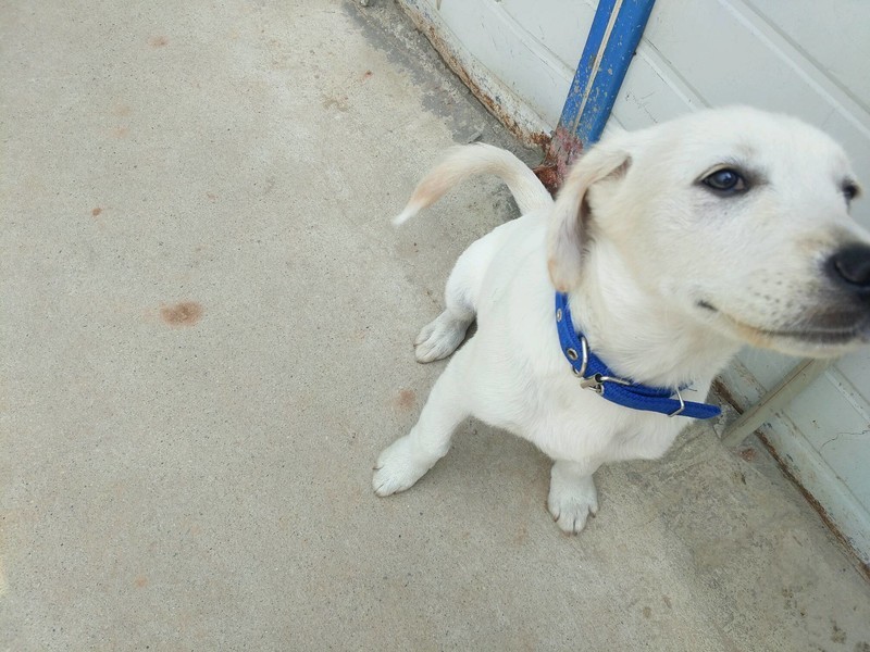 [七月我最萌]-在建筑行业，坚持不是英雄，逃跑也不是懦夫。