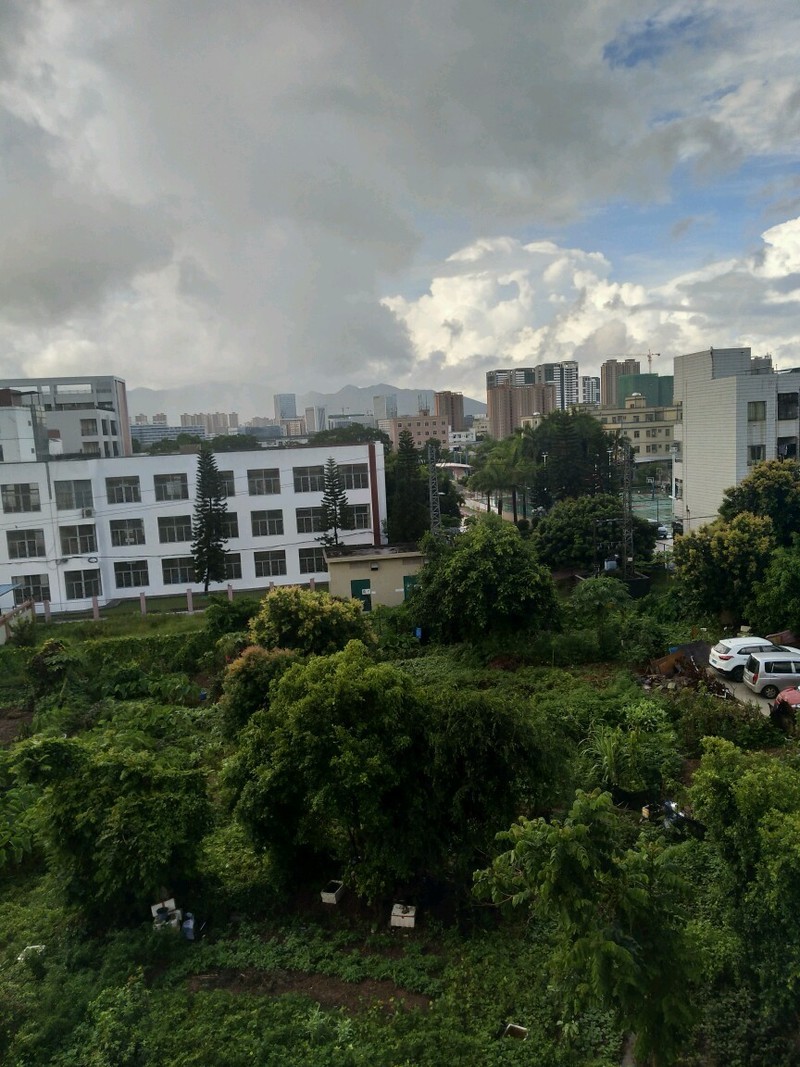 新厂的风景优美，