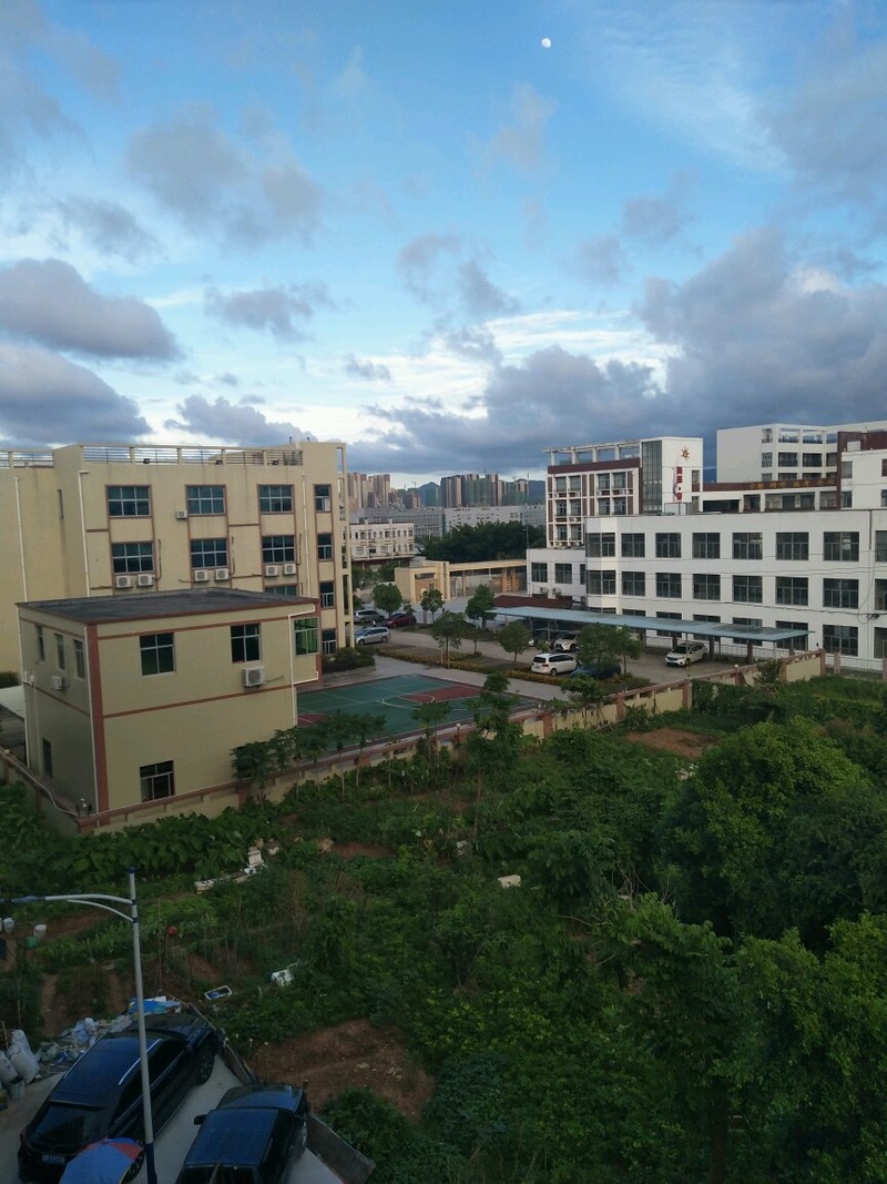 新厂的风景优美，