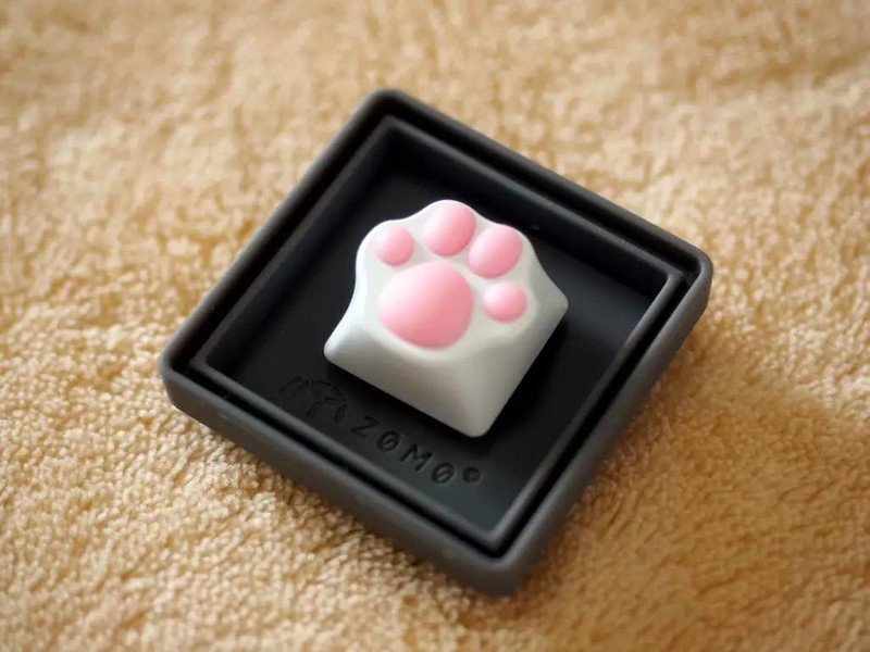 萌属性翻倍，IQUNIX F60 机械键盘配ZOMO仿生猫爪金属键帽