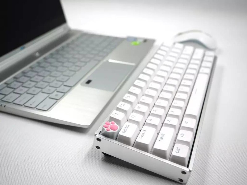 萌属性翻倍，IQUNIX F60 机械键盘配ZOMO仿生猫爪金属键帽