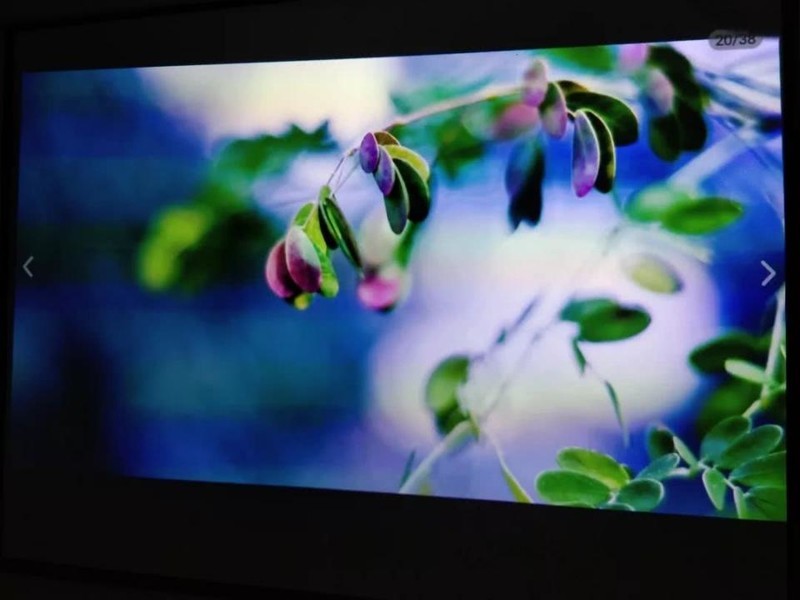 白墙与幕布投放画面测试：有什么区别？哪种效果好？