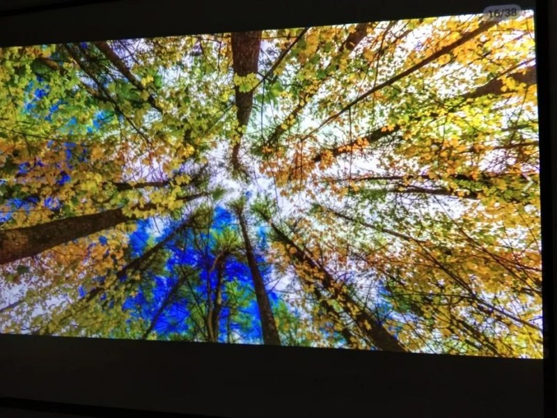 白墙与幕布投放画面测试：有什么区别？哪种效果好？