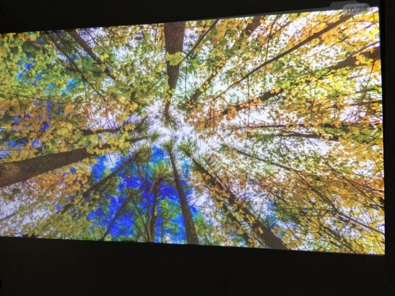 白墙与幕布投放画面测试：有什么区别？哪种效果好？