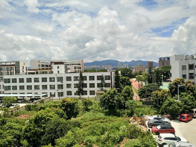 新厂的风景优美，