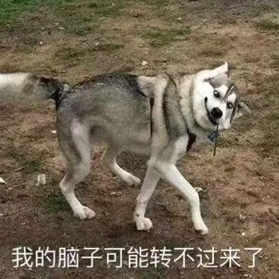 为啥面部解锁相机自启了？