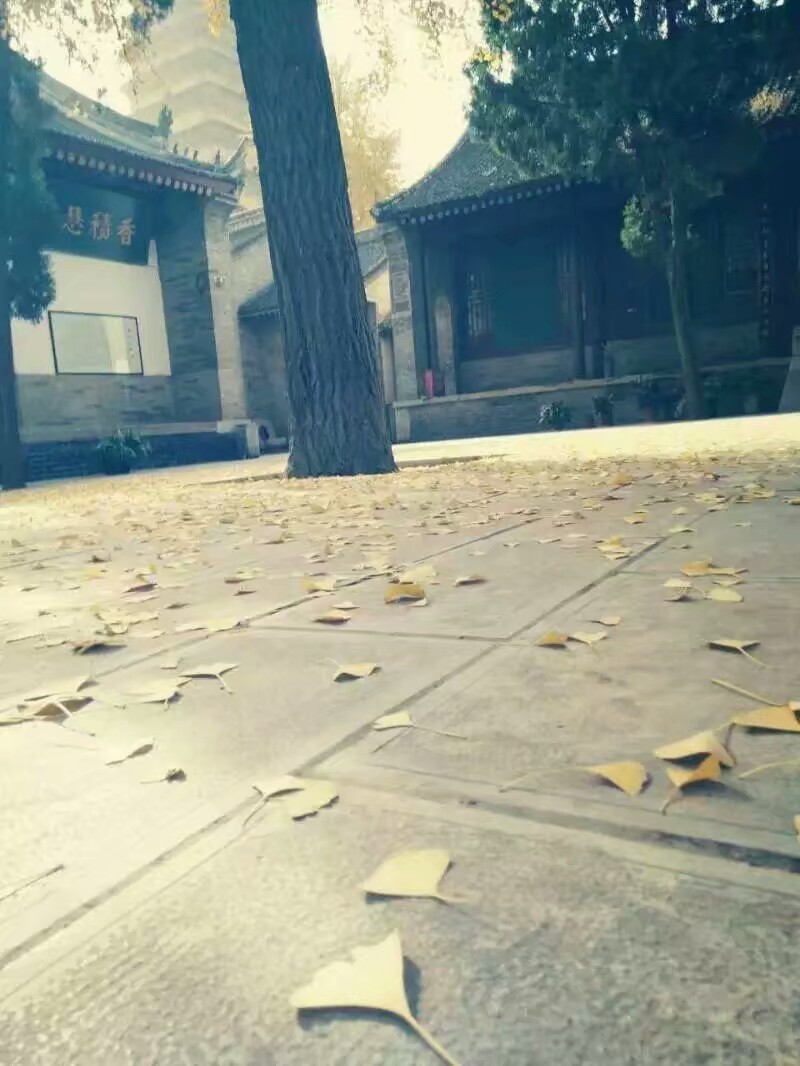 【长安】过香积寺