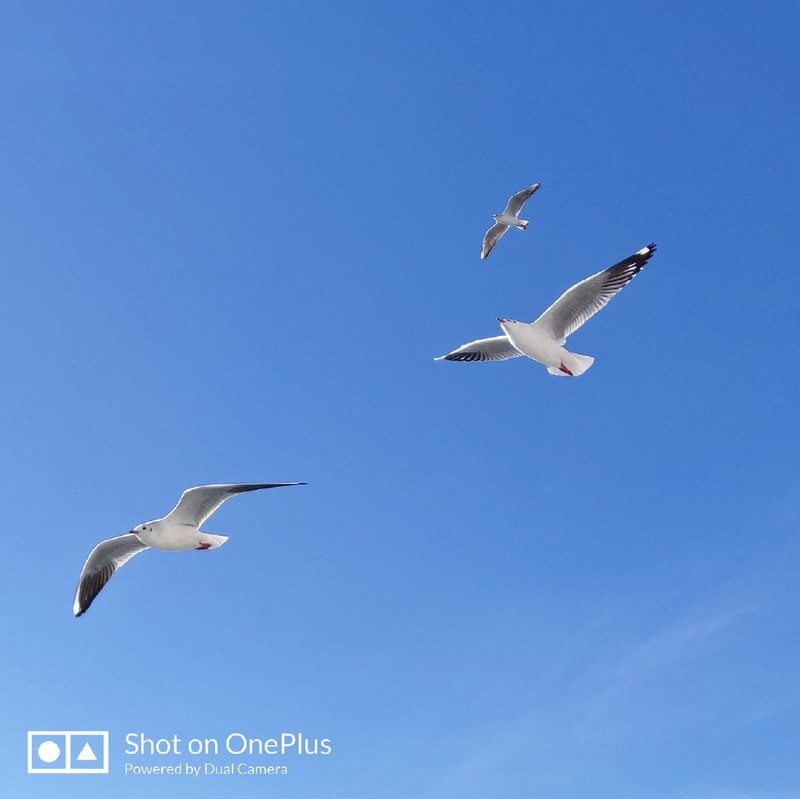 【风叔说】年度最佳手机，一加6T实至名归