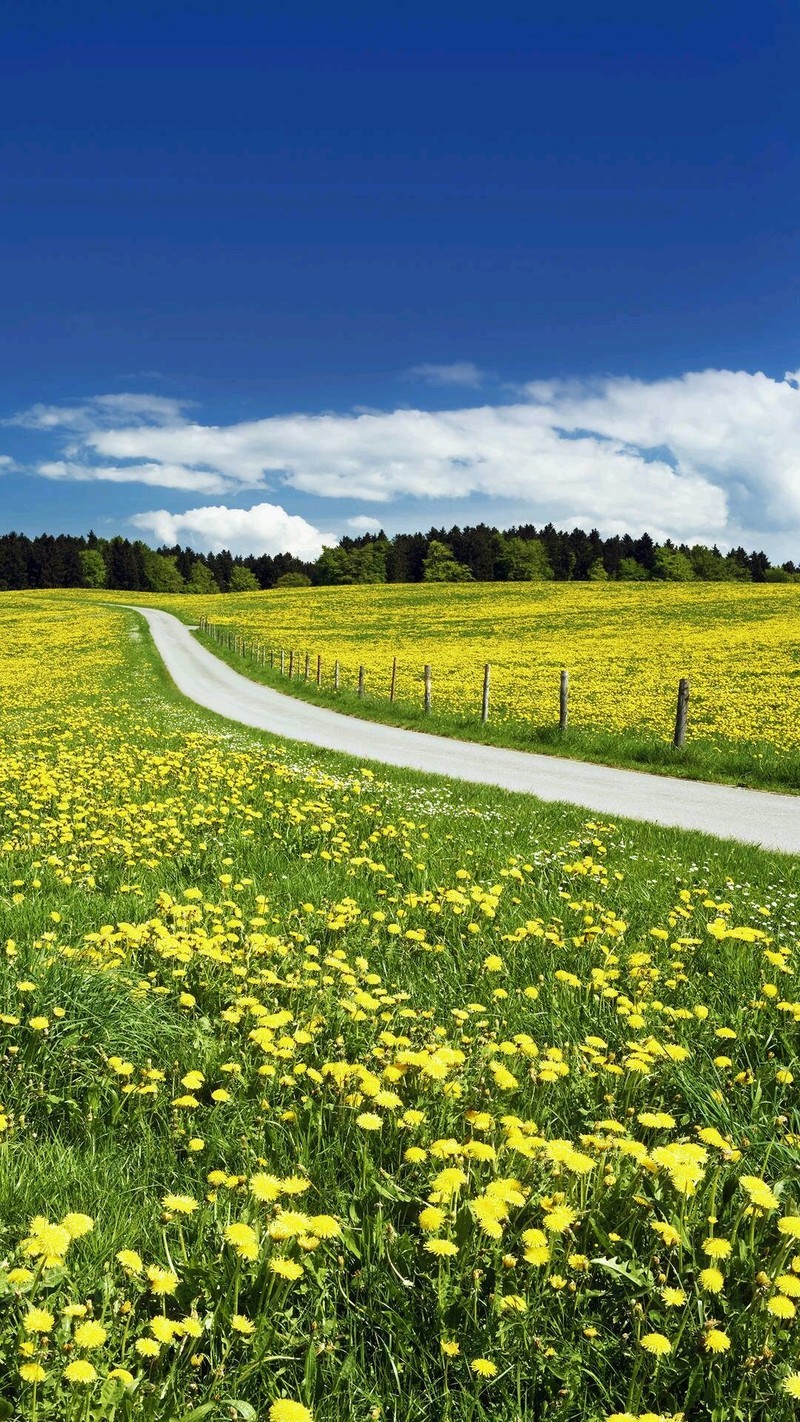 听说，，，今天是爱妻日
