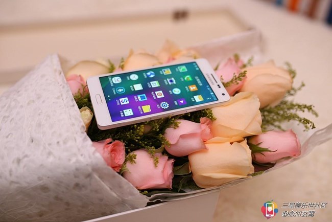 #版主坐堂#圣诞节刚过，你们都给女票送的什么呢？楼主先来展示