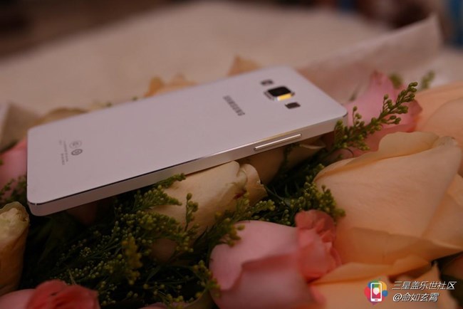 #版主坐堂#圣诞节刚过，你们都给女票送的什么呢？楼主先来展示