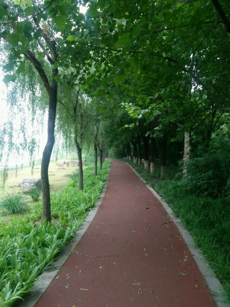 晨跑-中关村在线手机论坛