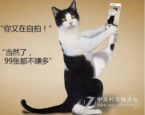 只因为在人群中多看了你一眼，自此再也没能把你忘记