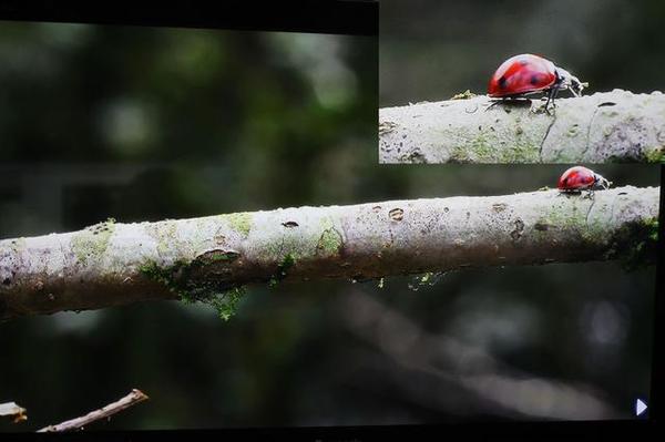 开博尔光纤HDMI线评测（深度解析篇）：高端发烧影音体验远超铜芯高清线