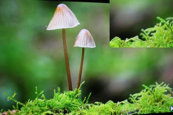 开博尔光纤HDMI线评测（深度解析篇）：高端发烧影音体验远超铜芯高清线