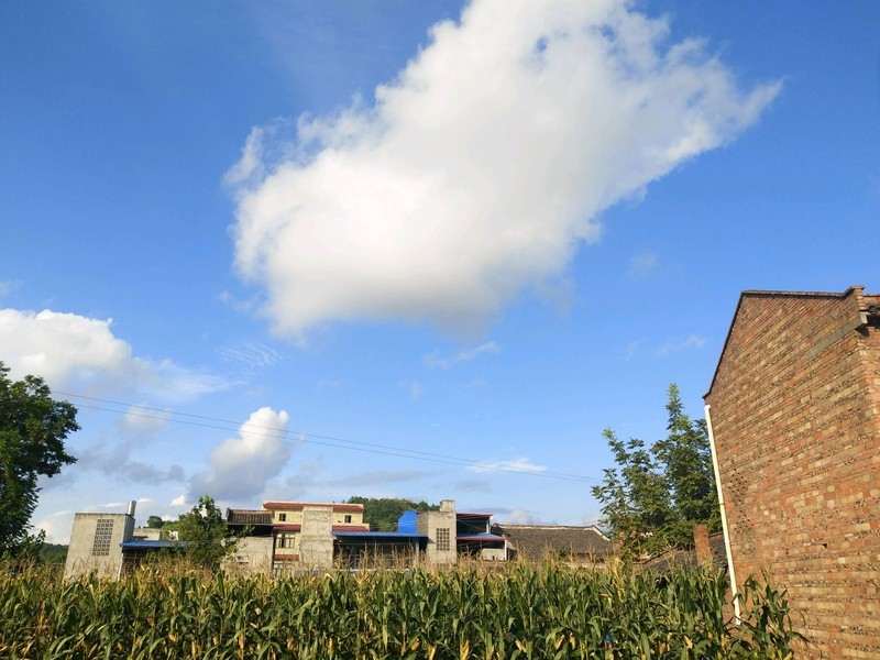 X9i子欲养而亲不待，人不学而无所依。
滴水之恩，当涌泉相报，
父母至亲，竭尽全力。