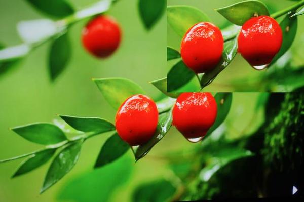 开博尔光纤HDMI线评测（深度解析篇）：高端发烧影音体验远超铜芯高清线