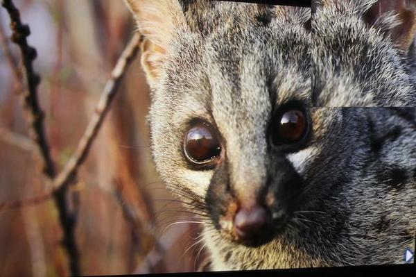 开博尔光纤HDMI线评测（深度解析篇）：高端发烧影音体验远超铜芯高清线