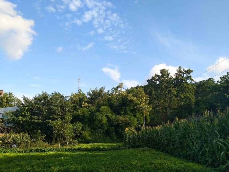 X9i子欲养而亲不待，人不学而无所依。
滴水之恩，当涌泉相报，
父母至亲，竭尽全力。