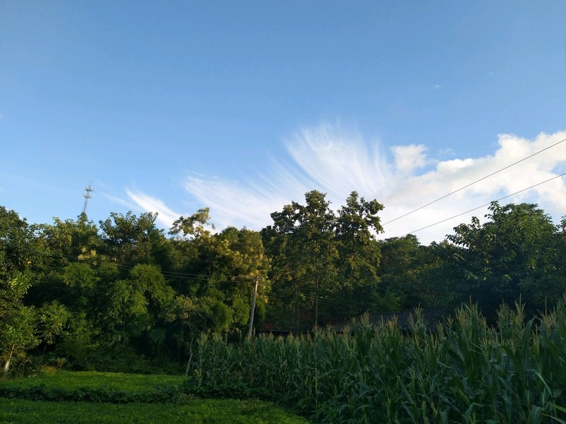 X9i子欲养而亲不待，人不学而无所依。
滴水之恩，当涌泉相报，
父母至亲，竭尽全力。