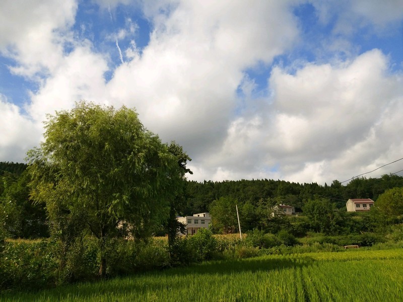 X9i子欲养而亲不待，人不学而无所依。
滴水之恩，当涌泉相报，
父母至亲，竭尽全力。