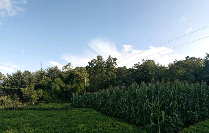 X9i子欲养而亲不待，人不学而无所依。
滴水之恩，当涌泉相报，
父母至亲，竭尽全力。