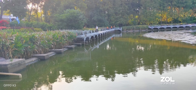 OPPO K3拍照样张（深圳荔枝公园）