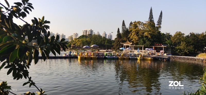 OPPO K3拍照样张（深圳荔枝公园）
