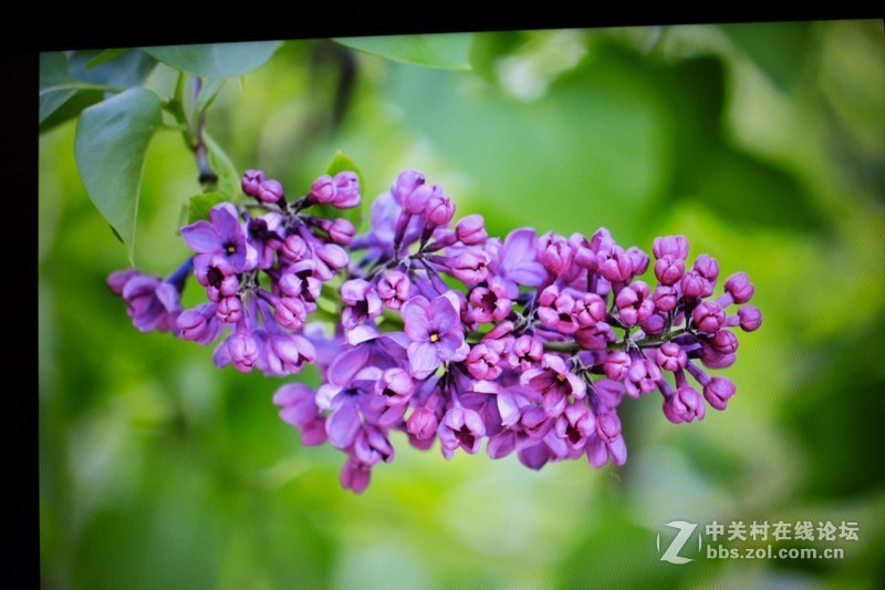 笔记本界的颜值派，HP惠普星系列14英寸笔记本电脑上手体验