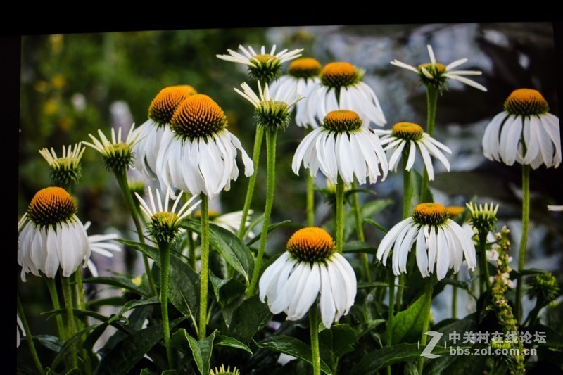 笔记本界的颜值派，HP惠普星系列14英寸笔记本电脑上手体验