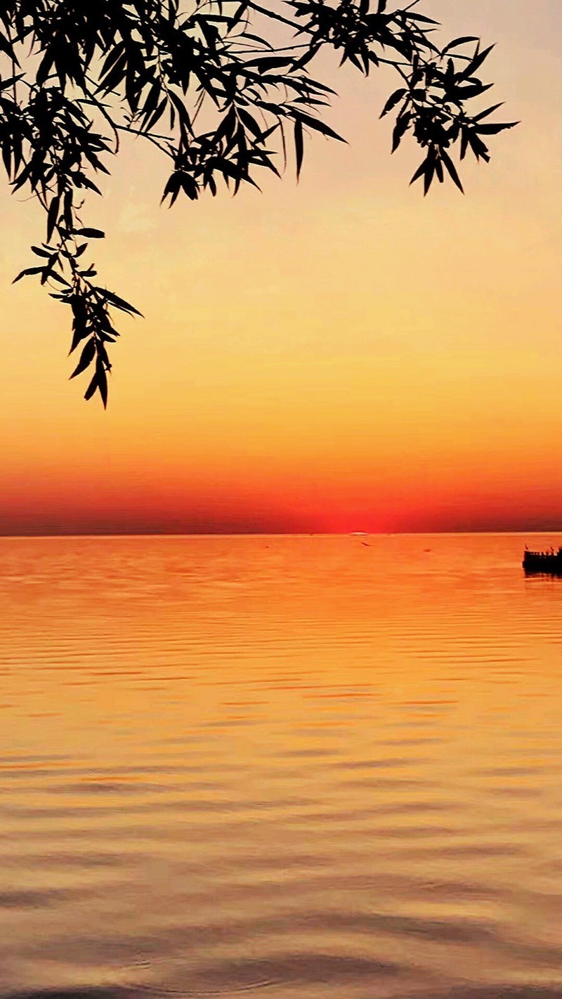 俏夕阳吉林查干湖