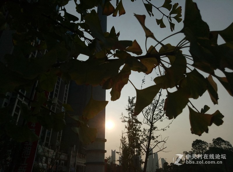 ＃趁年轻，玩把大的＃+大屏任意持久战，无愧于青年良品——魅蓝MAX上手体验