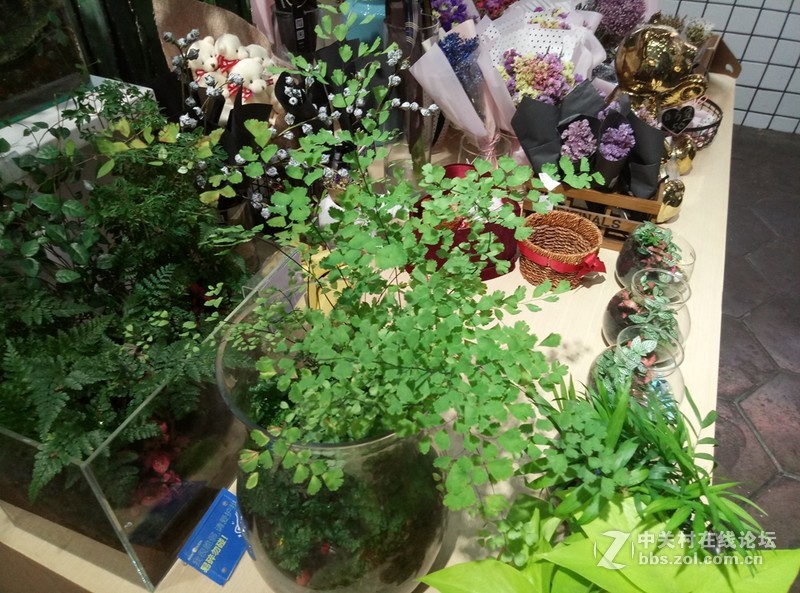 ＃趁年轻，玩把大的＃+大屏任意持久战，无愧于青年良品——魅蓝MAX上手体验