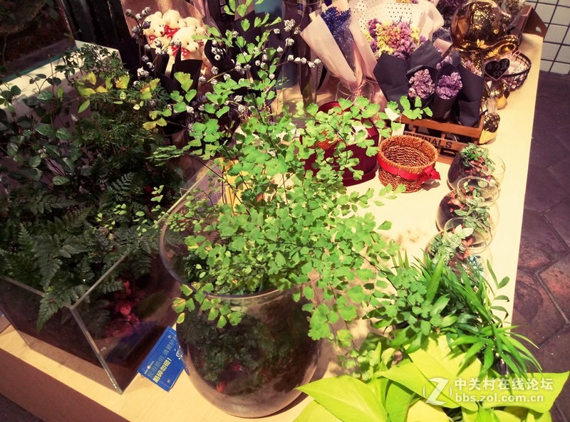 ＃趁年轻，玩把大的＃+大屏任意持久战，无愧于青年良品——魅蓝MAX上手体验