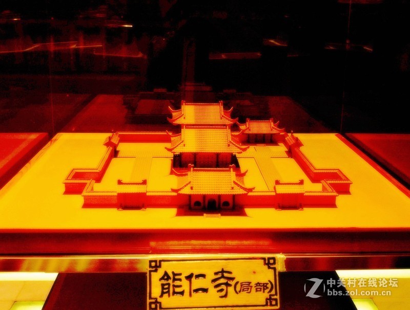 静物日暗光拍摄