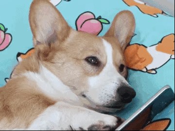 问一下大佬们711怎么装xp社区里找不到帖子啊