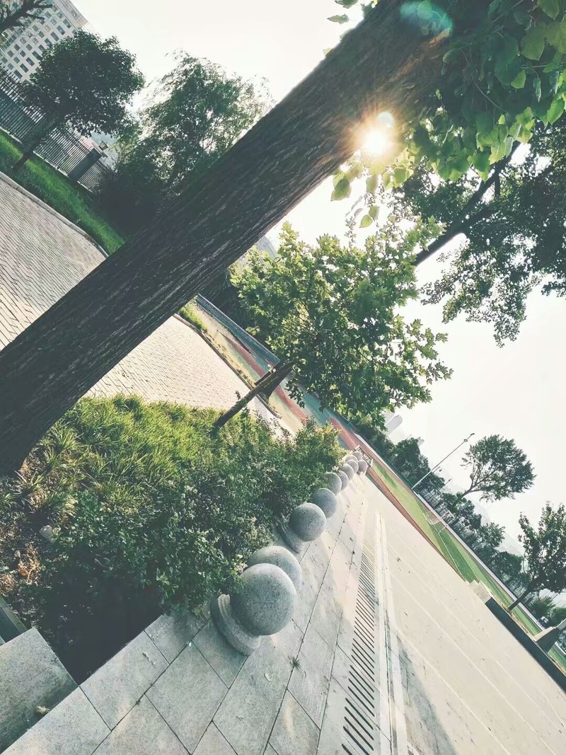 高中毕业