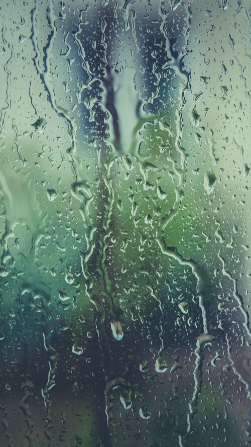 听雨