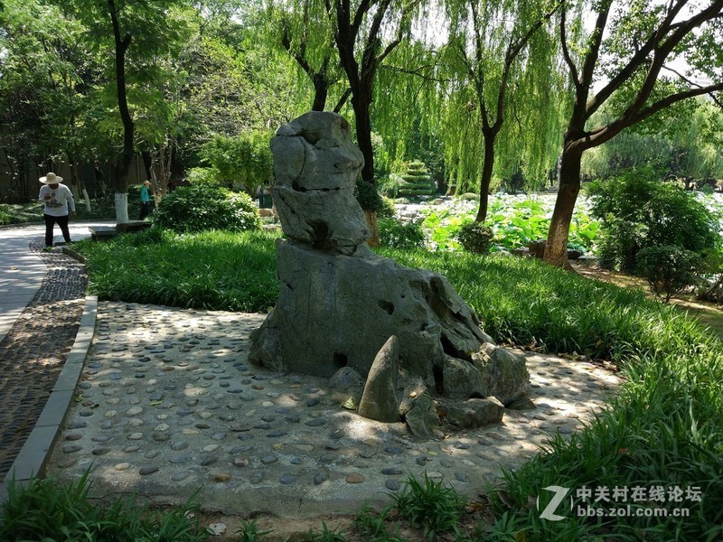 米5S ,NOTE3拍照对比,好不好看效果,米5S 硬