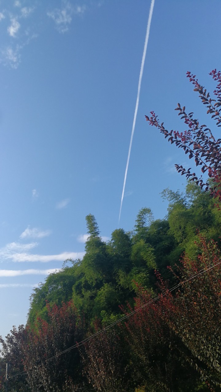 美景