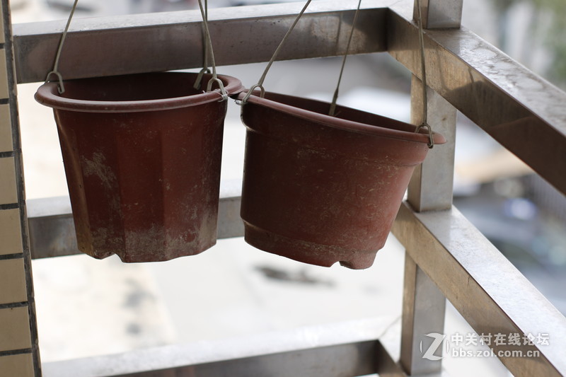 永诺镜头杂拍试镜