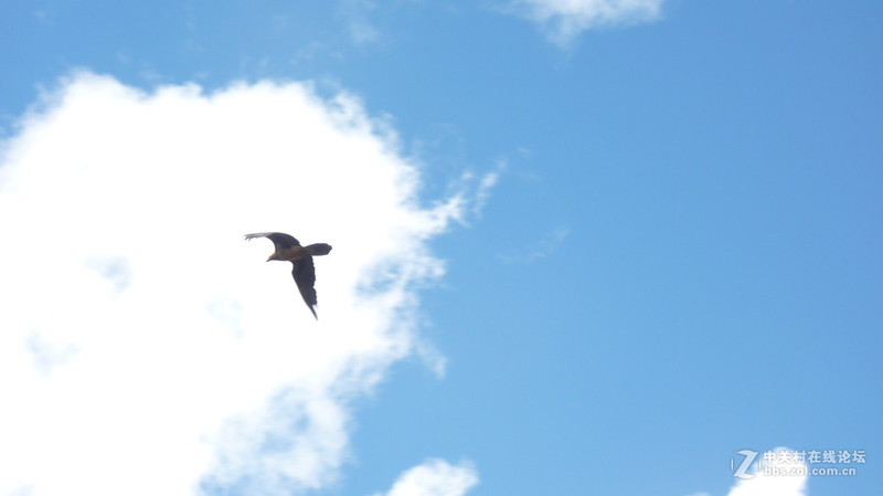 换相机前的FZ35，持续更新中