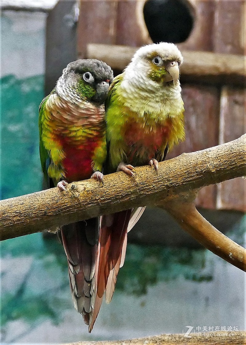 夏日观湖景 处处闻啼鸟