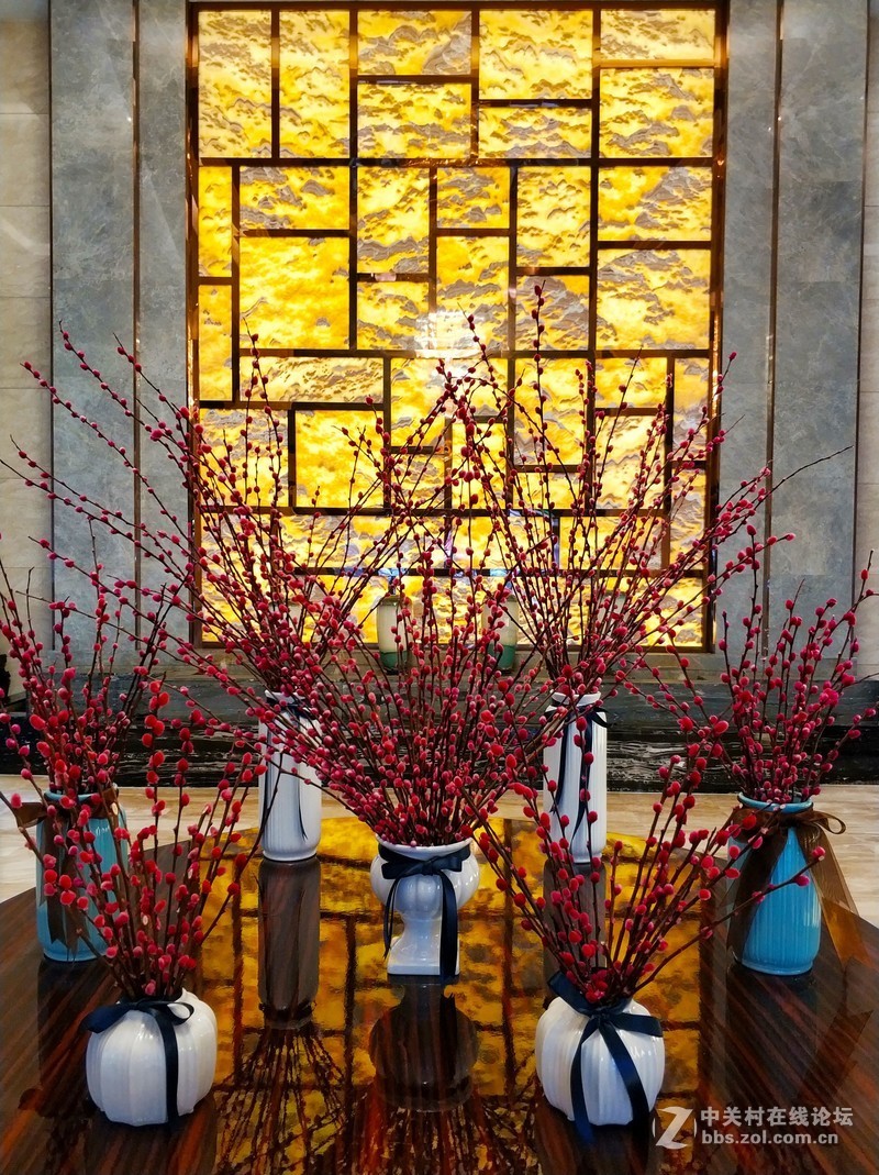 从手机里的照片里选一些分享一下。