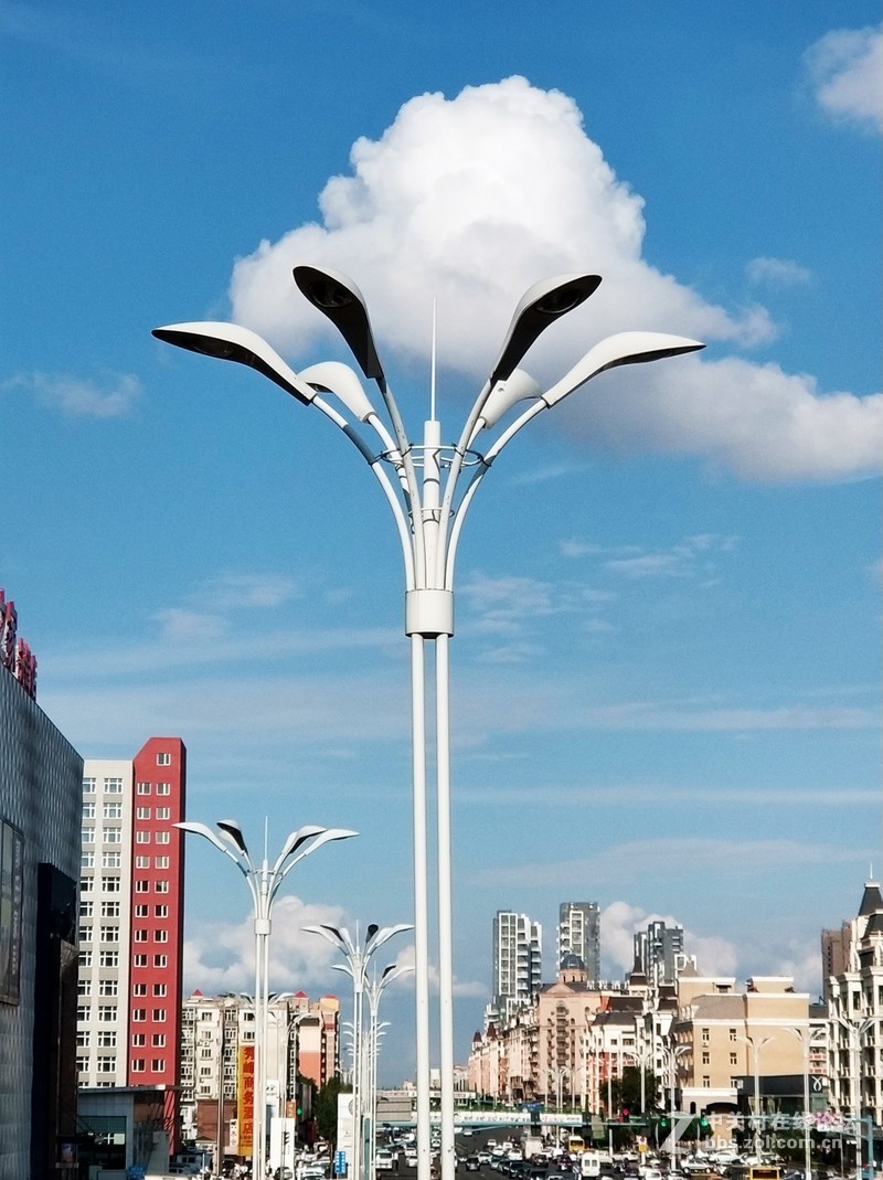 从手机里的照片里选一些分享一下。