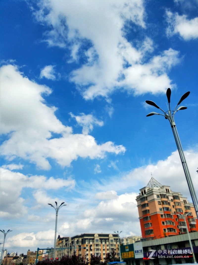 从手机里的照片里选一些分享一下。